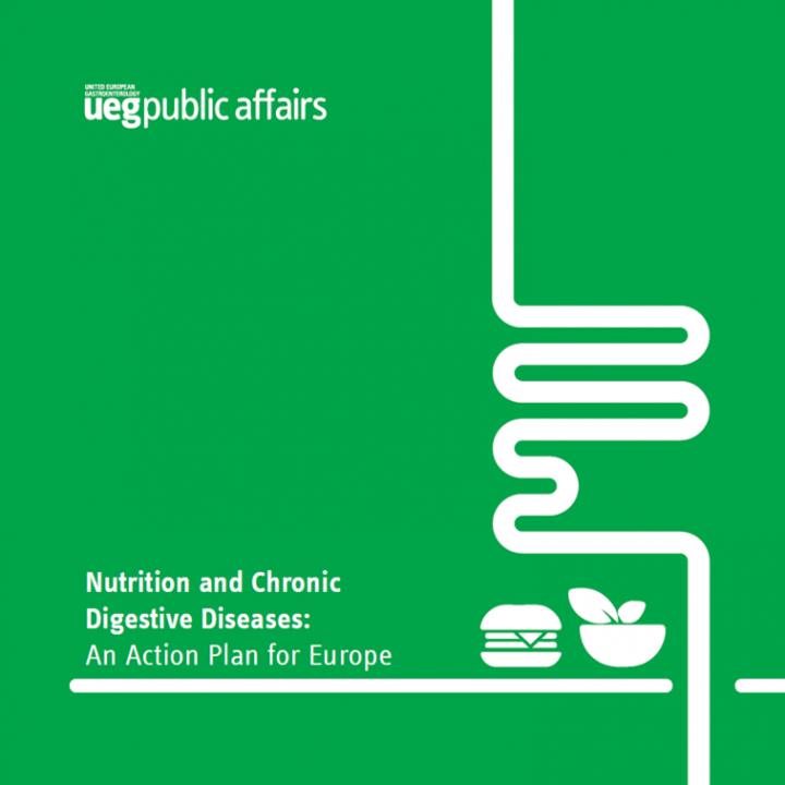 Nutrition and Chronic Digestive Diseases: An Action Plan for Europe