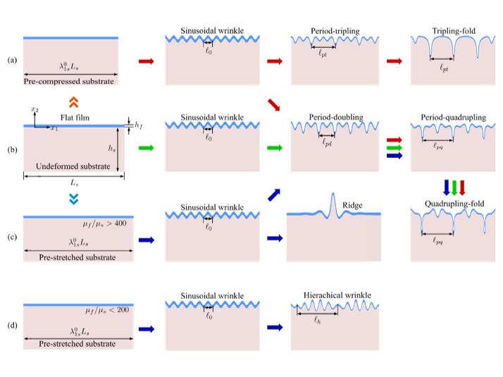 Figure 1  Schematic instability pattern evolutions of film/substrate system.