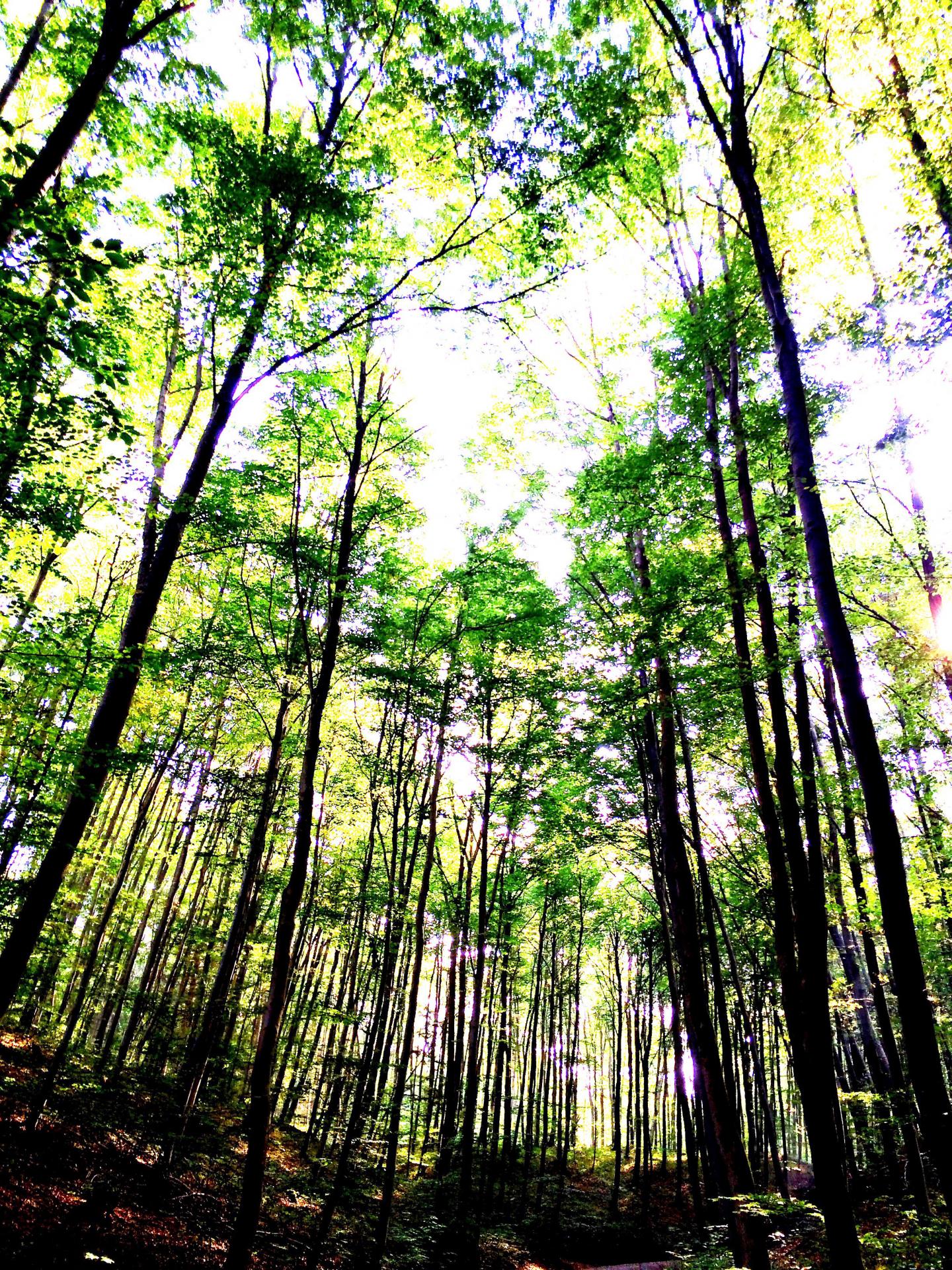 Enriched Environments in Humans