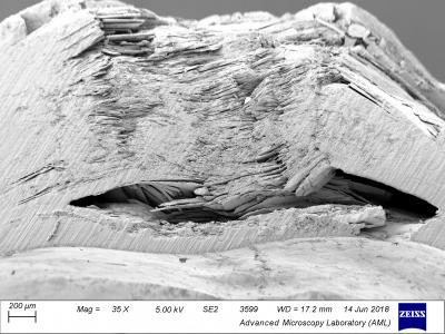 Impacted Shell Left to Repair