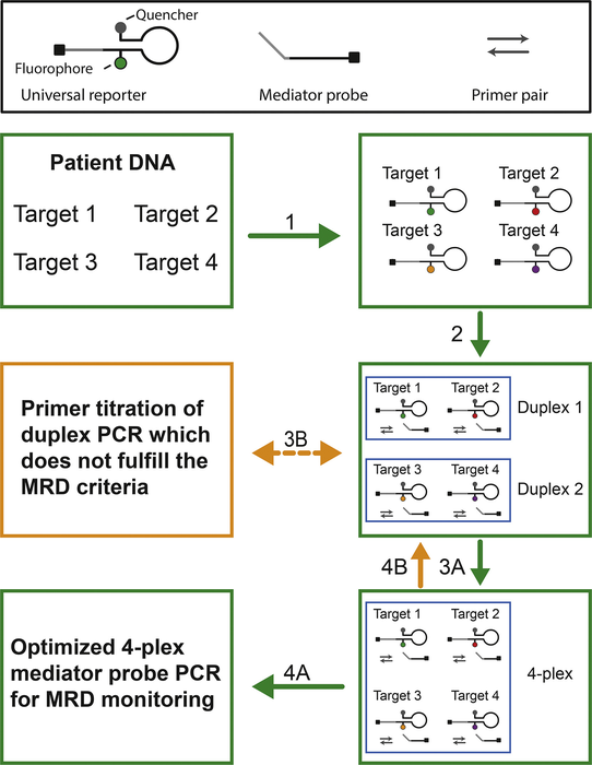MRD-multiplex workflow for the development of patient-specific 4-plex MP PCR assays through an iterative process