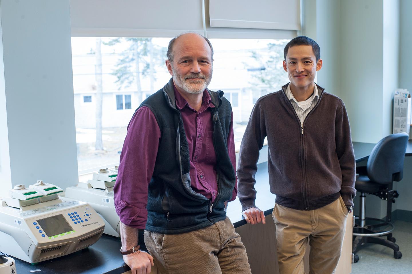 Kevin Strange, Ph.D. (left) and Voot P. Yin, Ph.D.