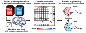 Schematic illustration of this research