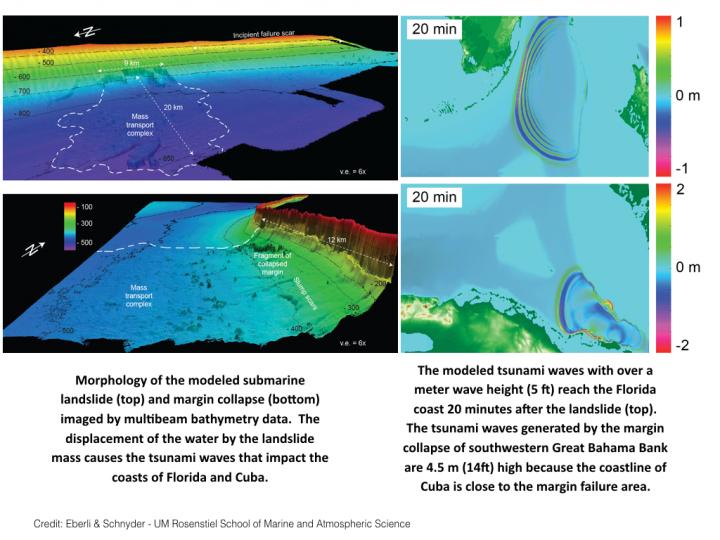 Morphology of the Modeled Submarine