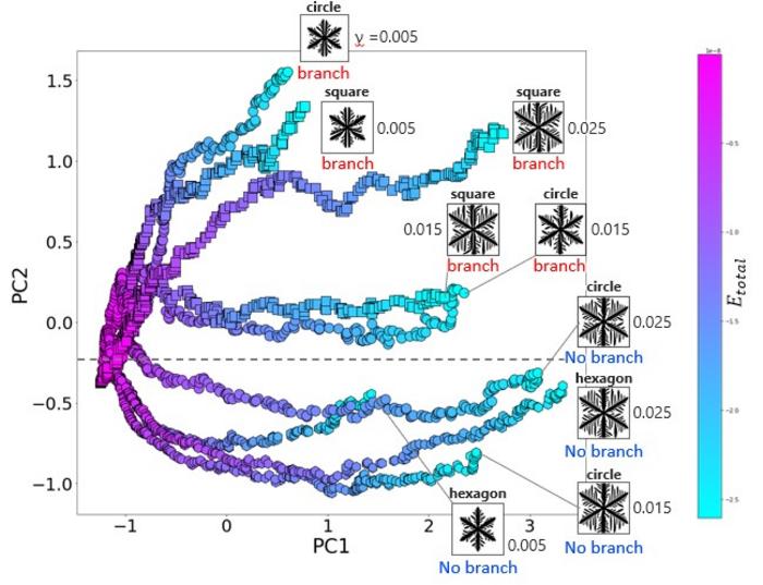 Principal component analysis of dendrite structures