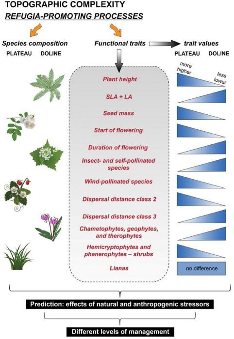 Understanding and managing doline microrefugia in karst landscapes.