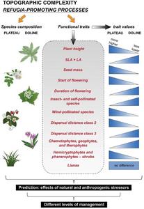 Understanding and managing doline microrefugia in karst landscapes.