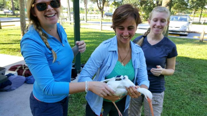 Sonia Hernandez with White Ibis