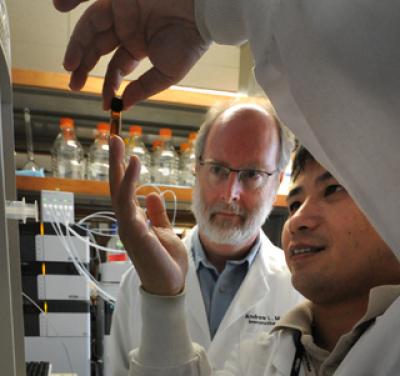 Drs. Andrew L. Mellor and Lei Huang, 	Georgia Health Sciences University 