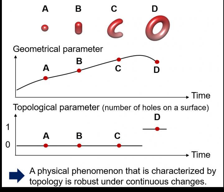 Illustration of Geometry and Topology