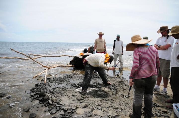  Smithsonian Scientists
