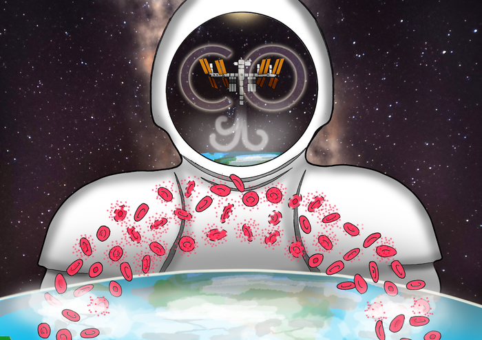 Being in space destroys more red blood cells