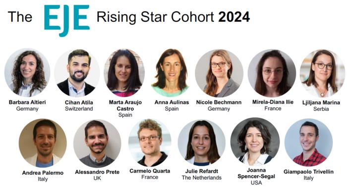 European Journal of Endocrinology's Rising Star Editorial Board 2024-2026 cohort