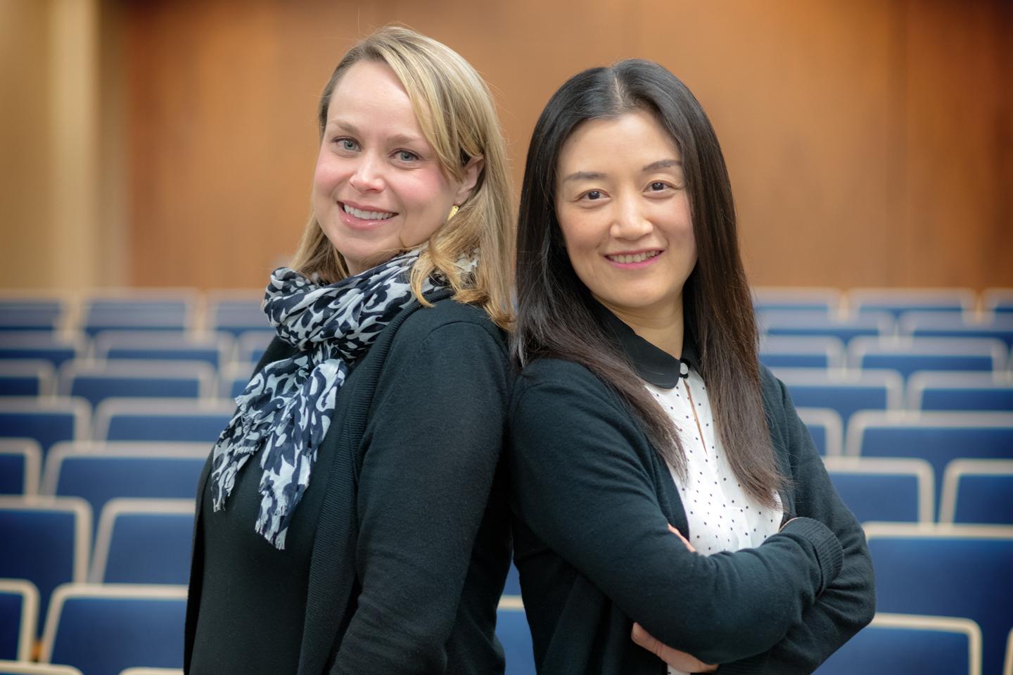 Noelle Fields and Ling Xu, University of Texas at Arlington