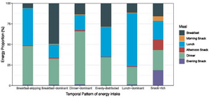 Cognitive health may benefit from balanced meal timing