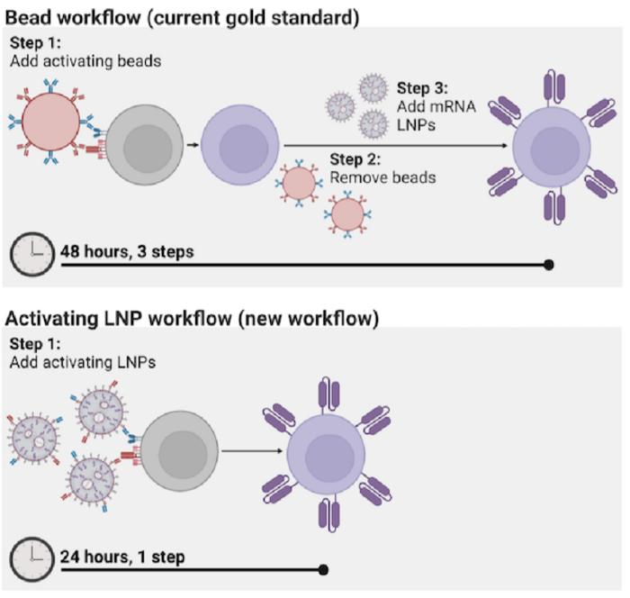 Activating Lipid Nanoparticles (aLNPs)