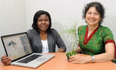 Micheline Ngaki and Eve Syrkin Wurtele, Iowa State University