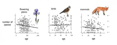 Relationships between Age and Species Richness