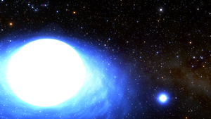 Binary star CPD-29 2176