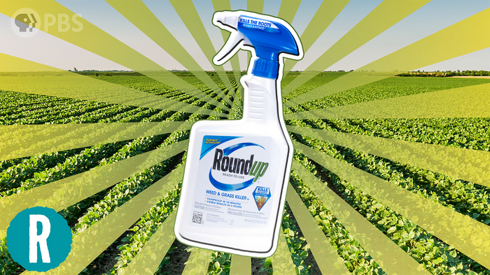 Glyphosate - American Chemical Society