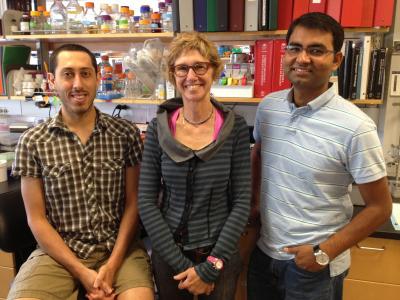 Gail Mandel, Dan Lioy and Saurabh Garg, Oregon Health and Sciences University