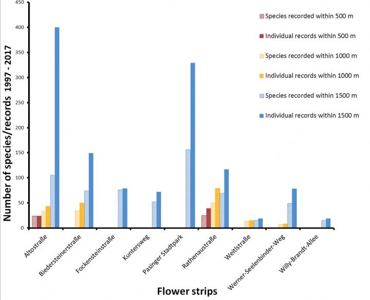 Numbers of species and individuals recorded between 1997 and 2017 within a defined radius from the centre of each flower strip