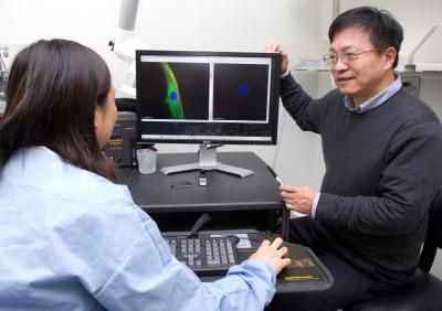 Gang Bao,   	 Georgia Institute of Technology