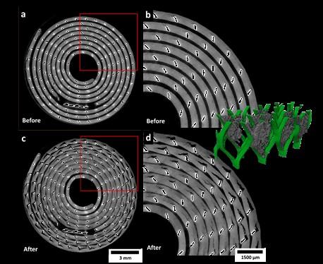 Electrode Before And After Discharge