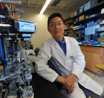 Dr. Yunchao Su, Georgia Health Sciences University