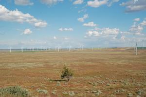 Lone Hawk Nest in Front of Turbines