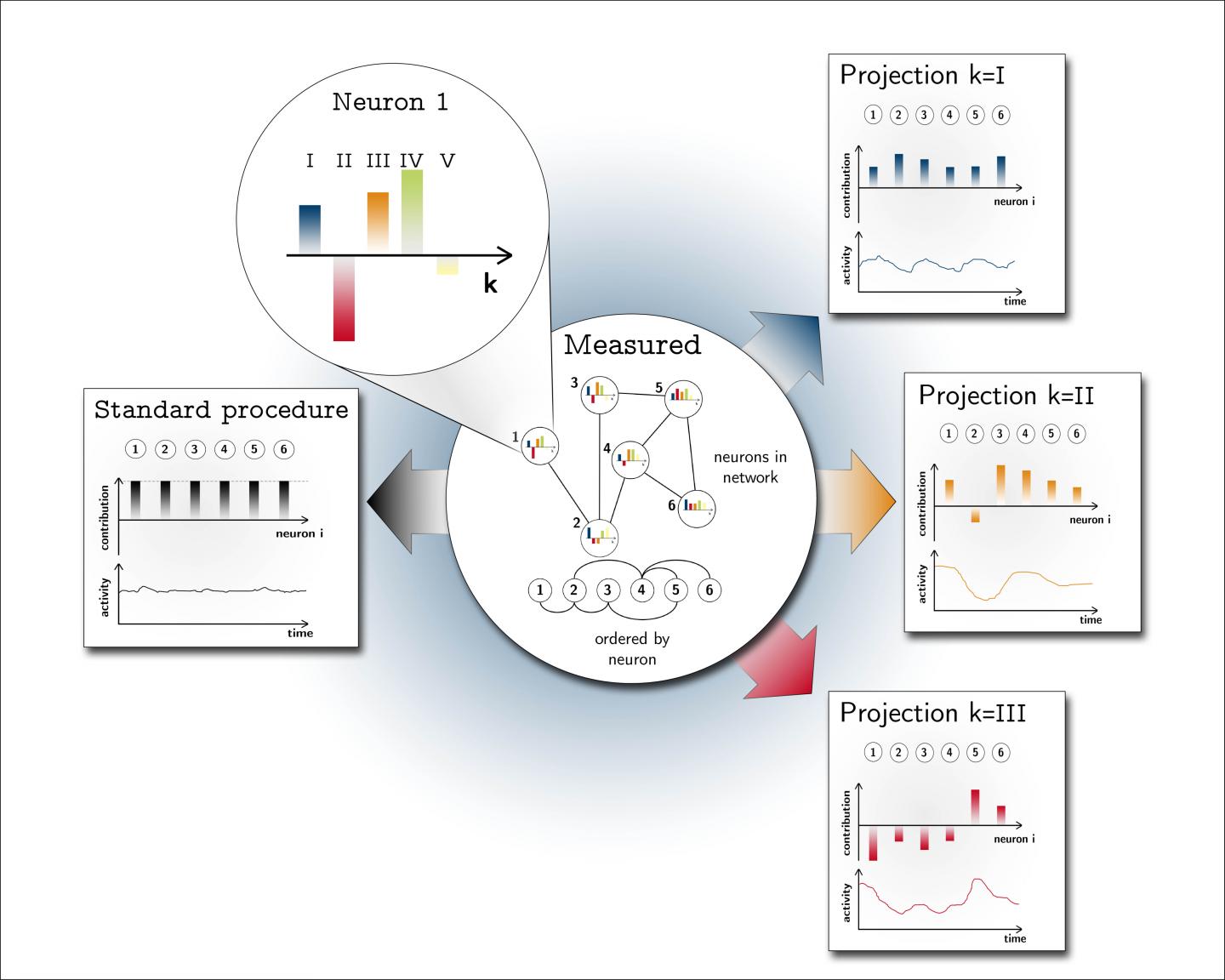 Hidden Dynamics in Neuronal Networks