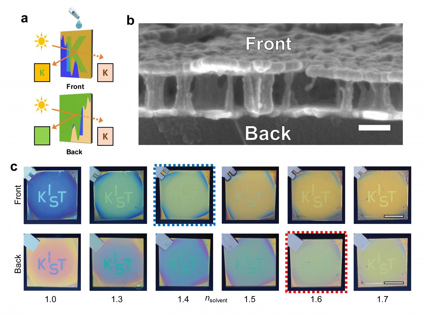 Liquid-permeable etalon for Janus colouration and asymmetric message hiding