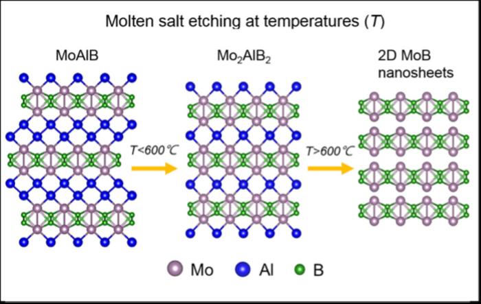 Schematic of Mo2AlB2 and MoB MBene formation mechanisms in ZnCl2 molten salt