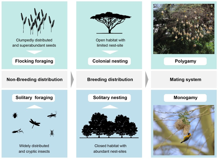 Infographic summary of research findings