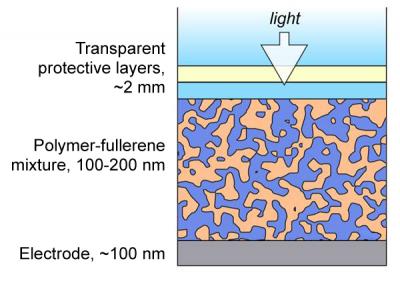 Cross-Section of Organic Photovoltaic Cell