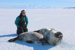 Study lead author Michelle Shero next to a Weddell seal