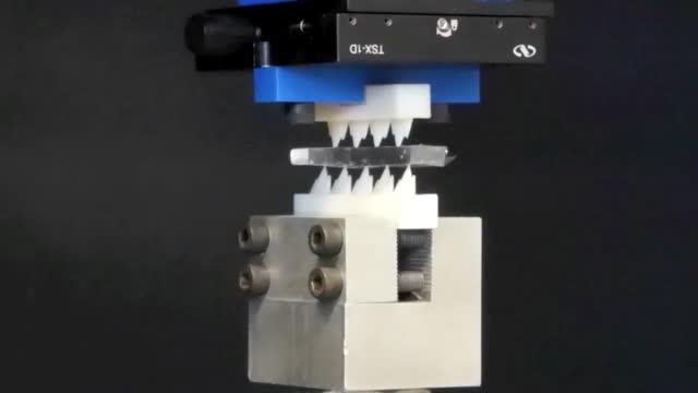 A Force-Testing Machine Bit Proxy Insects between 3-D-Printed Teeth Replicas from An Upper and Lower