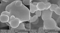Coated and Uncoated Dust Grains