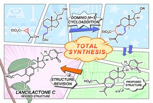 Synthesis from start to success