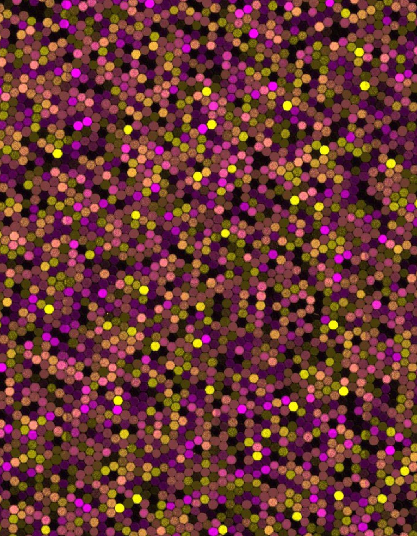 Magnified Raw Image of Droplets from Microscope