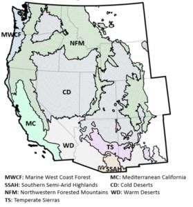 Western US ecoregions