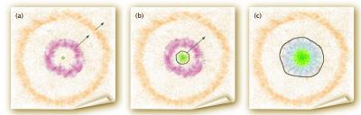 Penutimate Bump before a Supernova Explodes