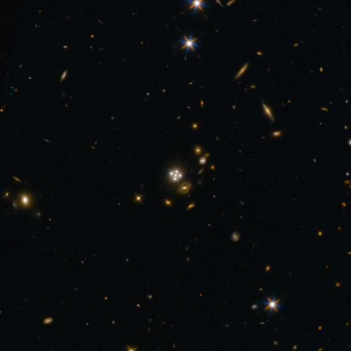 Lensed Quasar and its Surroundings