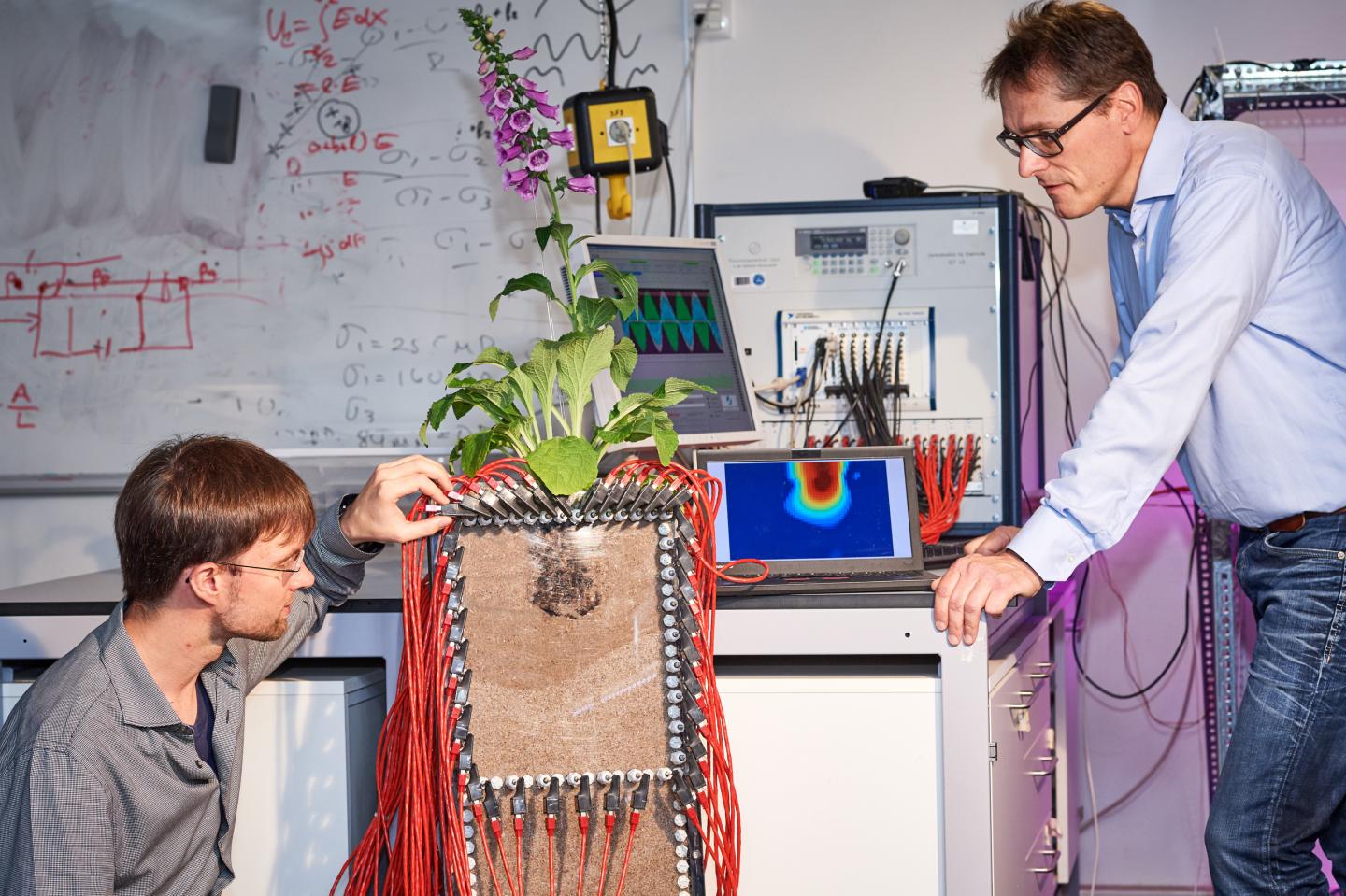 Maximilian Weigand and Andreas Kemna, 	University of Bonn