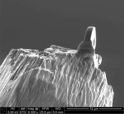 Micro Lens on a Needle