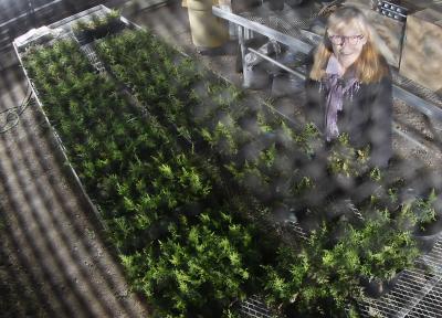 Jody Banks, Purdue University 