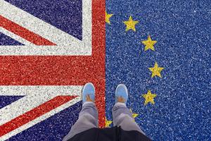 Cognitive ability and voting behaviour in the 2016 UK referendum on European Union membership