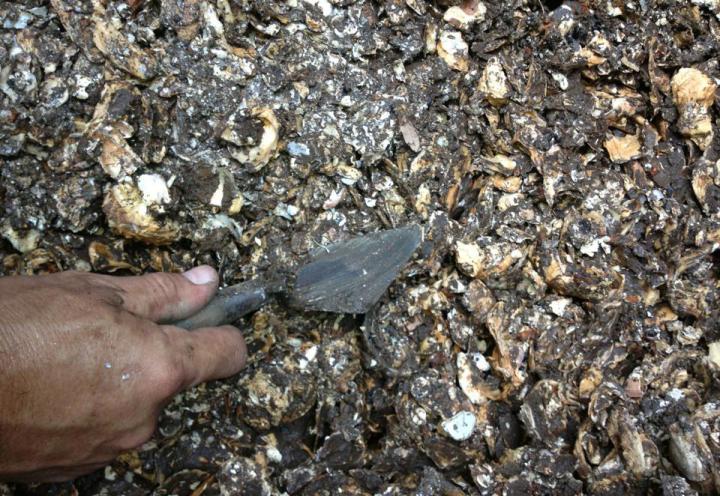 People Gathered on Island to Commiserate and Eat Oysters