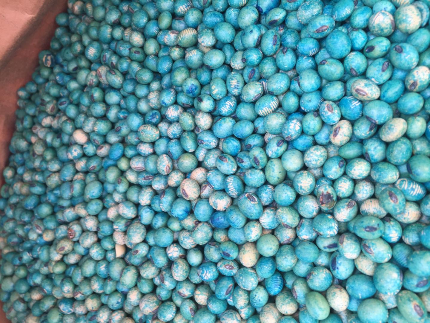 Coated Seeds2 [IMAGE] EurekAlert! Science News Releases