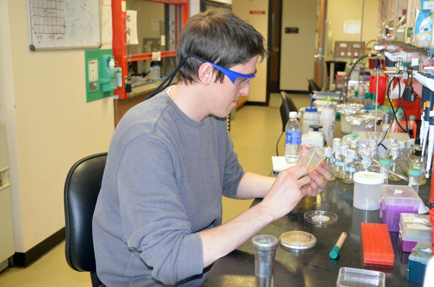 Chris Vassallo, University of Wyoming